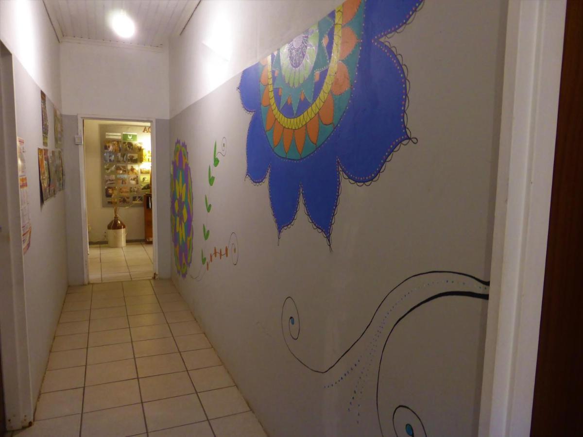 Orange Elephant Backpackers Hostel Addo Εξωτερικό φωτογραφία